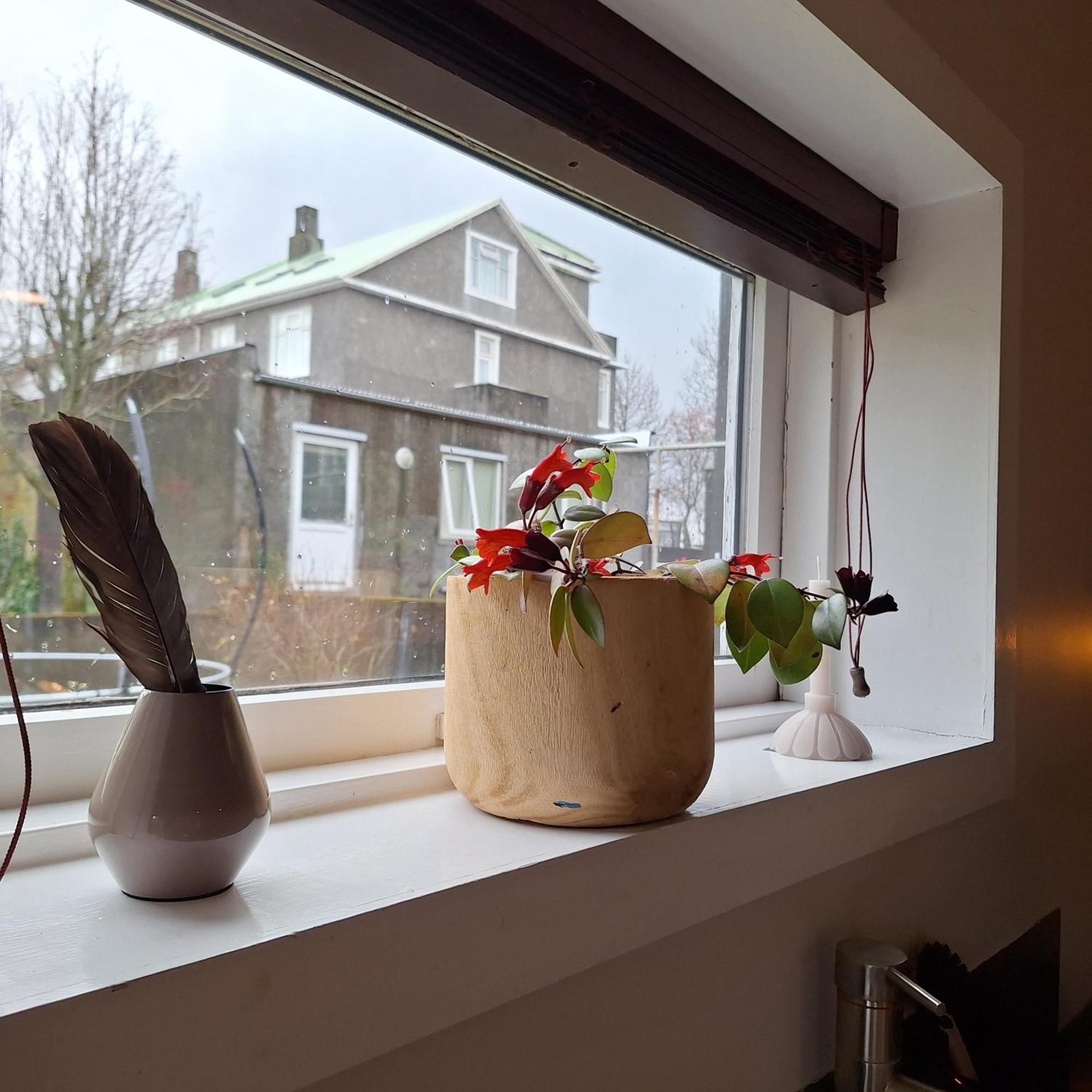 Central Reykjavik - Garden Cottage Dış mekan fotoğraf